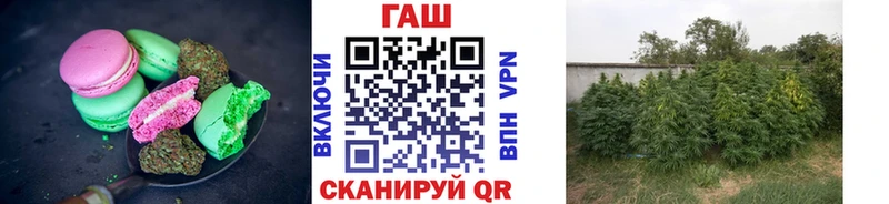 Cannafood конопля  Кимры 