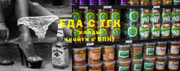 хмурый Аркадак